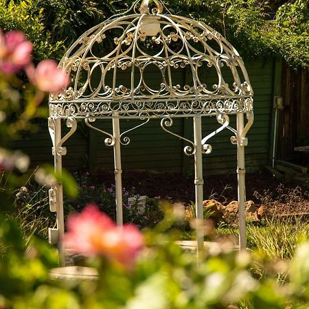 Lincoln Cottages Bnb & Self-Catering Pietermaritzburg Ngoại thất bức ảnh